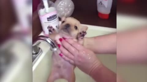 The bath is also super nice, super beautiful;