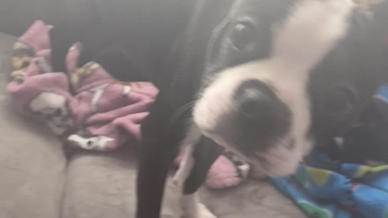 Georgia doesn’t want to share