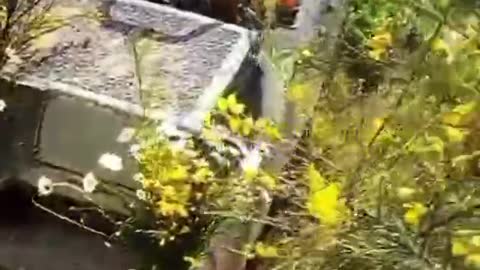 Obrněné vozidlo ukrajinské armády opuštěné vojáky u Severodoněcka