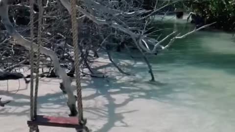 If you could only do one thing in the Florida Keys