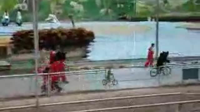 Monkeys Racing Bears on Bicycles Greatest Vid Ever