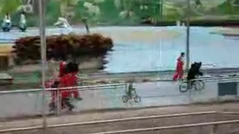 Monkeys Racing Bears on Bicycles Greatest Vid Ever