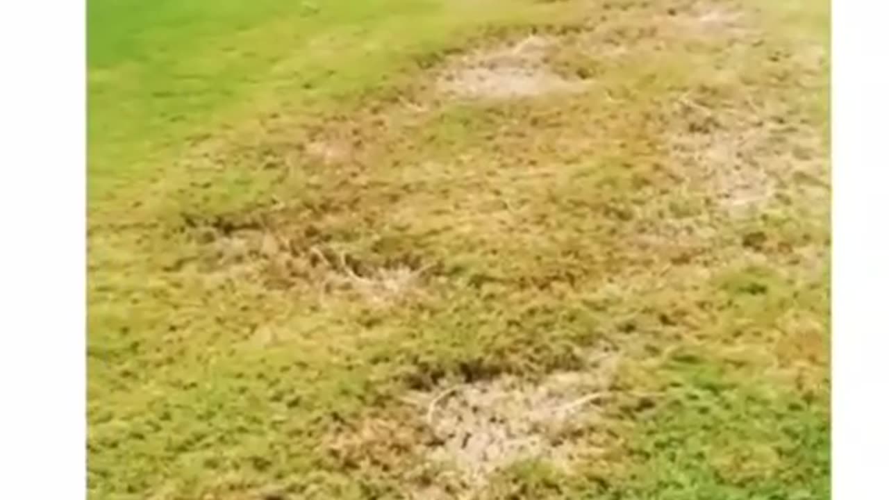Hari yang indah🤣