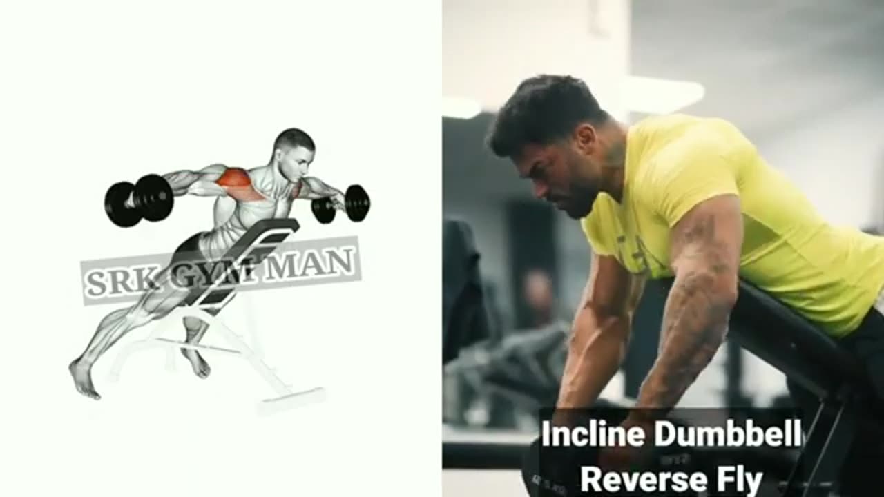 5 Most Important Shoulder Excercise