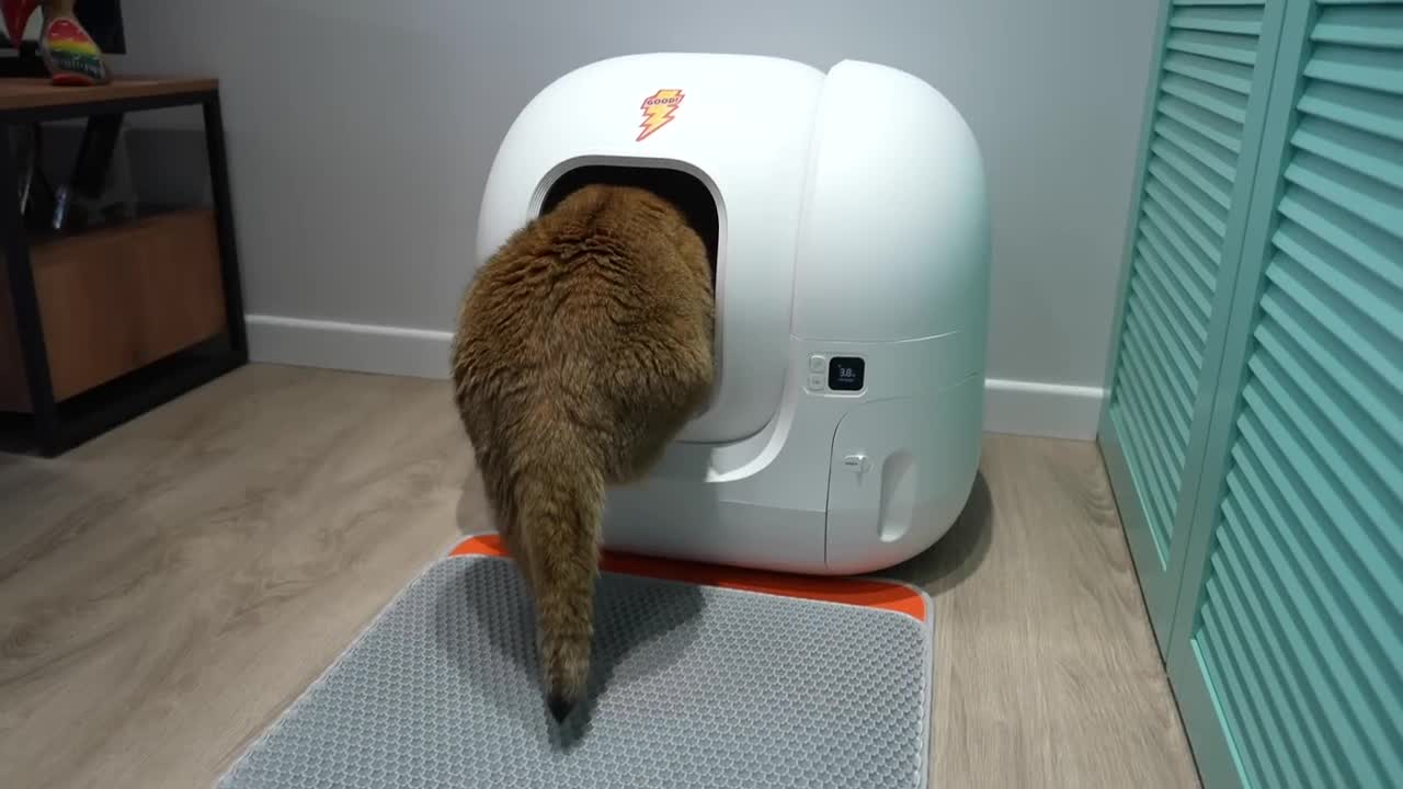 New Self-Cleaning Cat Litter Box for Hosico - PETKIT PURA MAX