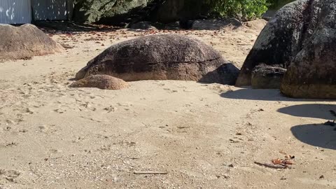 2/5 - Tour completo pela Prainha das Pedras em Governador Celso Ramos e uma Surpresa nada Agradável