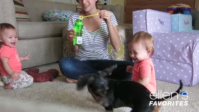 Ellen's favorite babies laughing