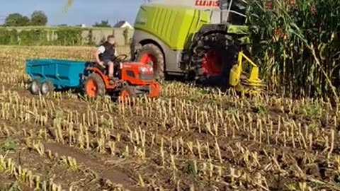 ensilage micro tracteur