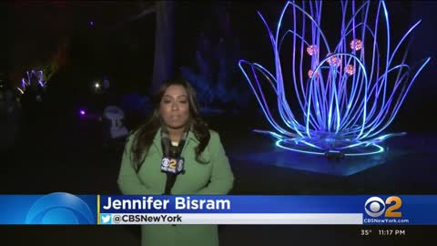 Brooklyn Botanic Garden's Lightscape show returns for the holidays