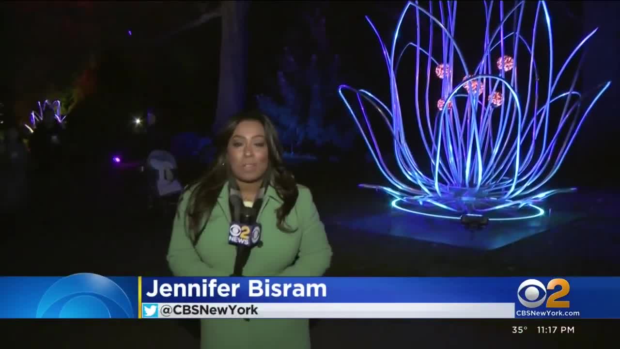 Brooklyn Botanic Garden's Lightscape show returns for the holidays