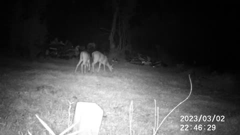 3/2/23 DEER