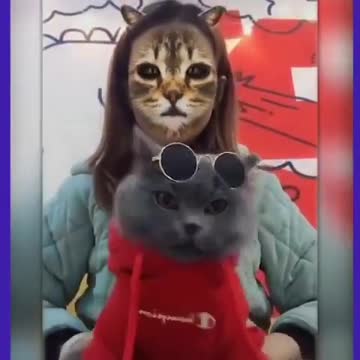 Cat mask application with funny compilation