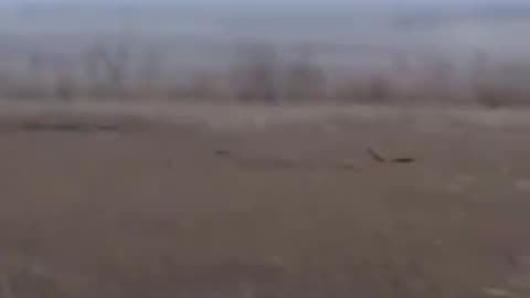 Incredible Javelin Strikes