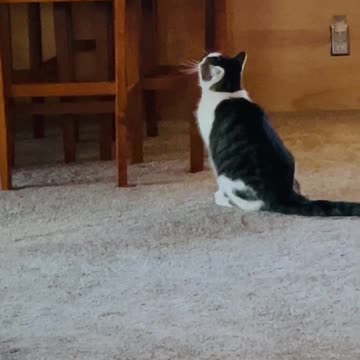 Check who walks away from the fight