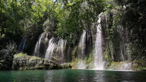 Amazing Jungle Waterfall.