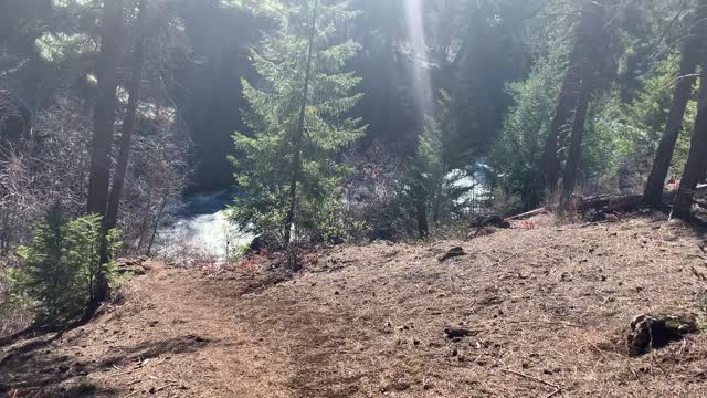 Descending Beautiful Forest-River-Canyon to Lookout – Metolius River – Central Oregon