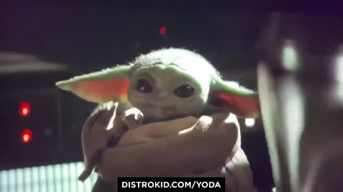 Baby Yoda Can't Get Enough Of This Track!