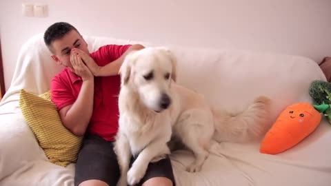 Funny Dog Reaction to Different Human Sounds [BEST REACTION]