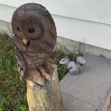 A wonderful wooden statue of an owl with a squirrel in front of a house