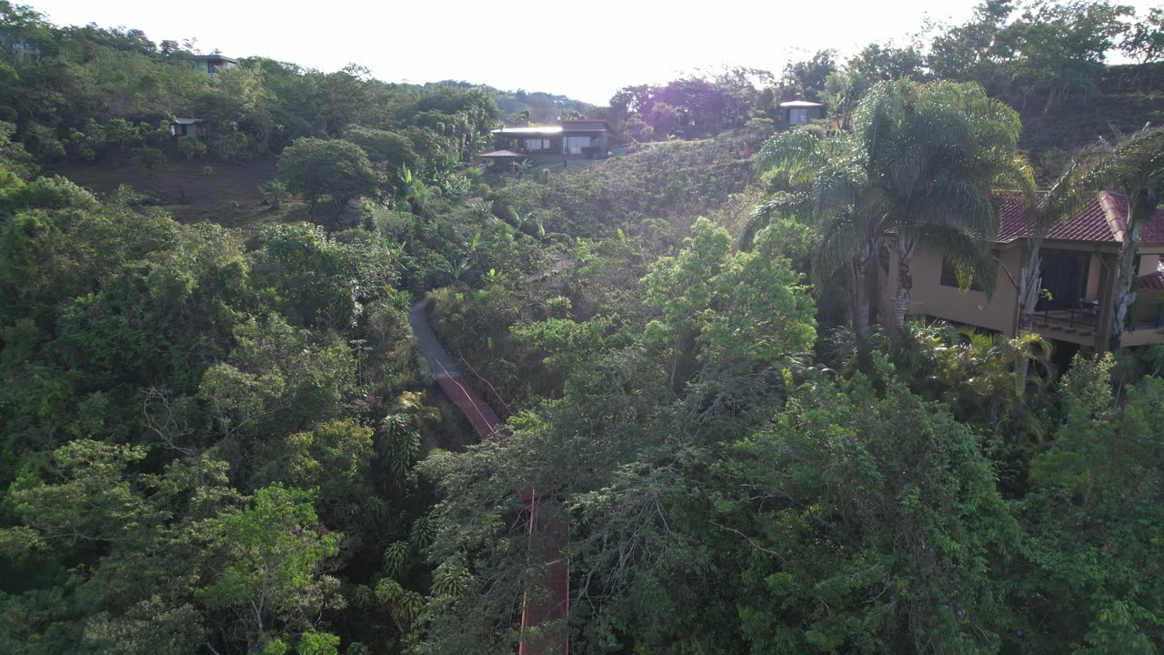 Cloud Forest and Coffee Farms, Costa Rica