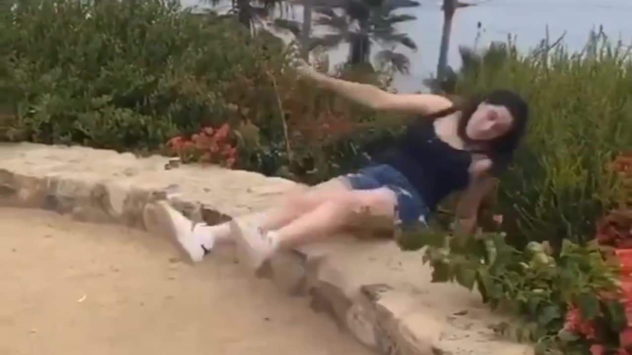Very Funny Videos