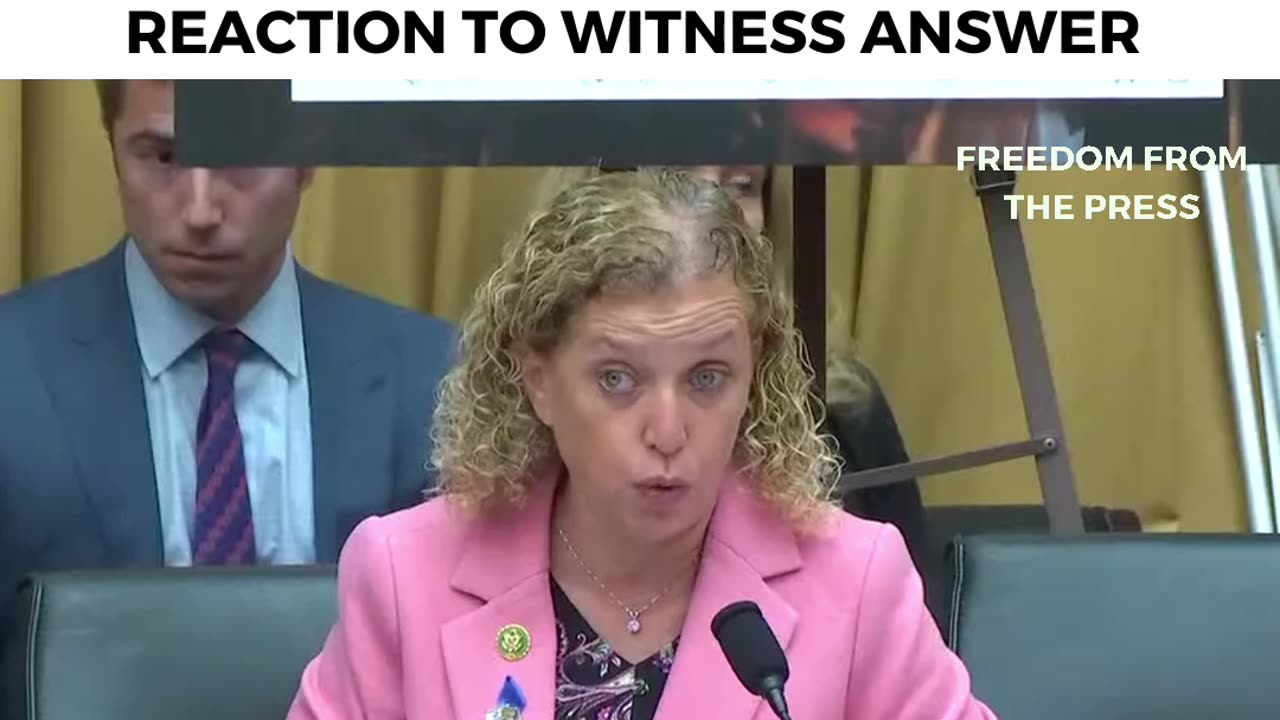 Clinton-Associated Dem MOCKED By Committee After Insane Reaction To Witness Answer