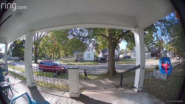 Pup Pulls Its Person Off the Porch