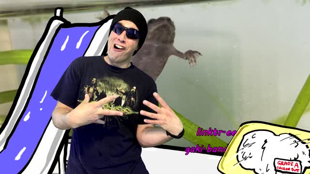 MC Wagglepants "I Ain't Never Scurred of da Waterslide"