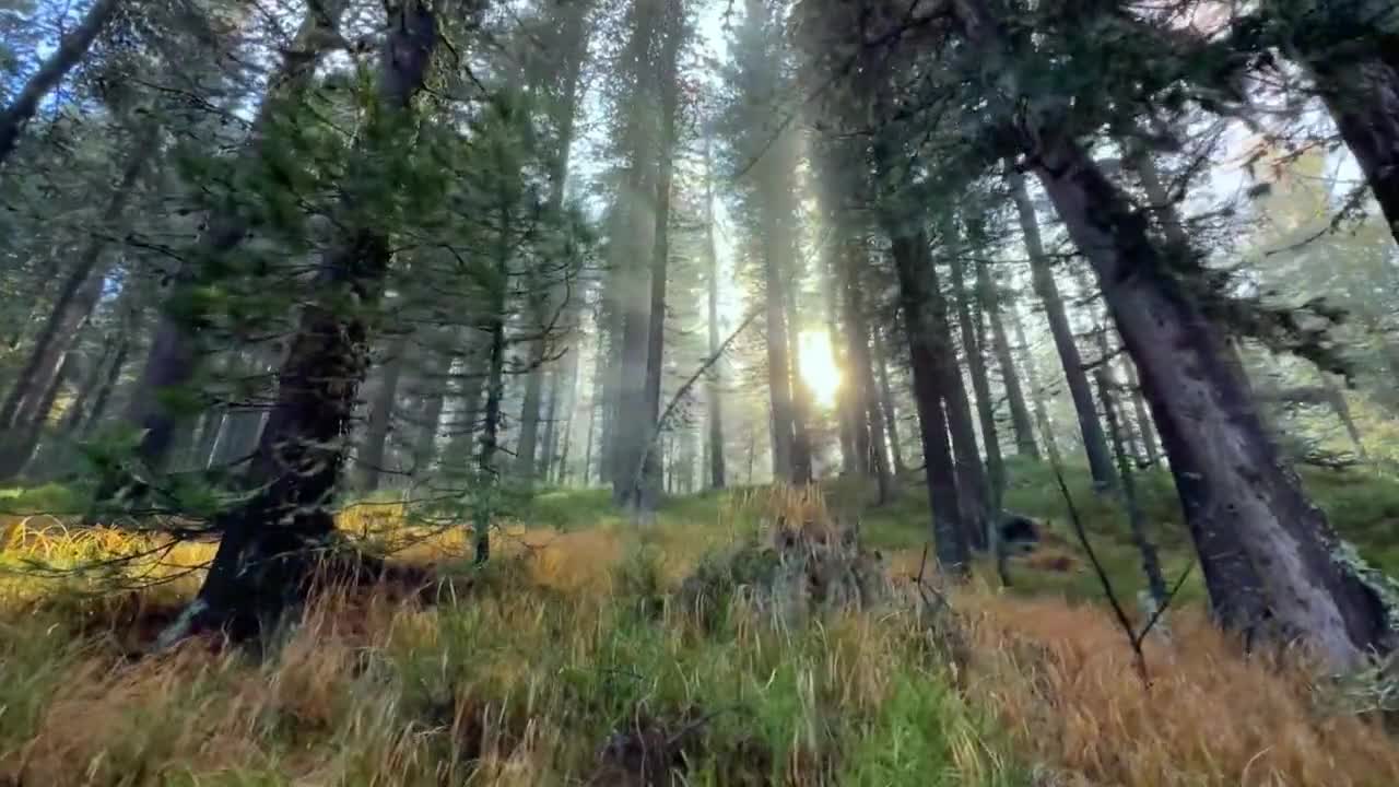 "When a beam of light shines into the darkness, it is guilty, but if it never leaves the darknes