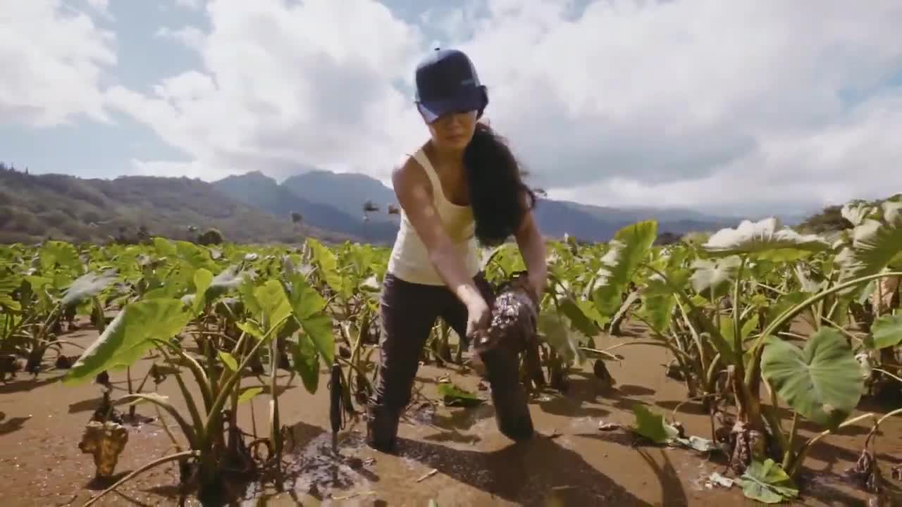 Meet Lyndsey 5th-Generation Taro Farmer + Duluth Trading Wayforger™