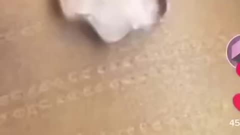 인류와 함께하는 자기 전기 우주