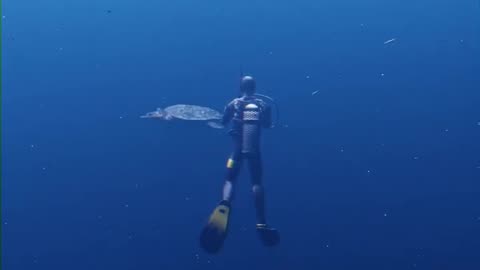 The Deep Blue