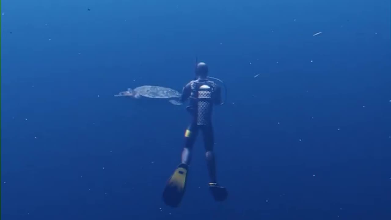 The Deep Blue