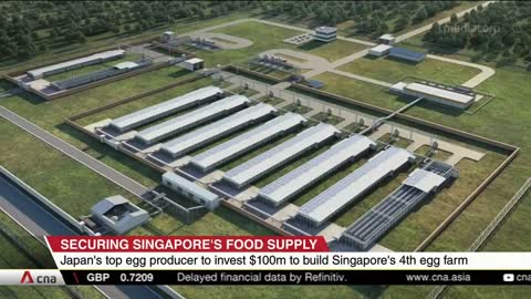 Japan's top egg producer to set up $100m farm in Singapore, boosting local supplies