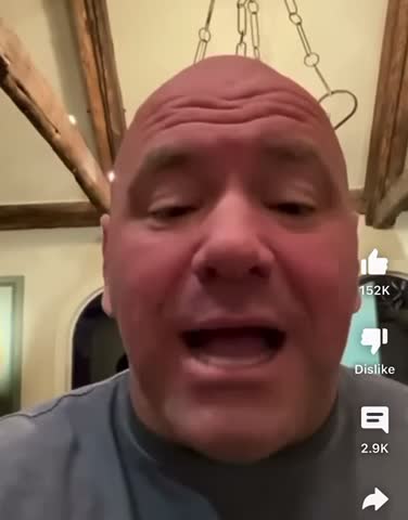 Dana White Blast Jake Paul 😂😂😂