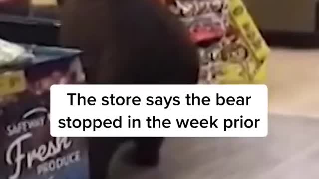 This bear wandered into a grocery store in North Carolina