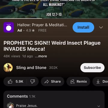 The birds will teach