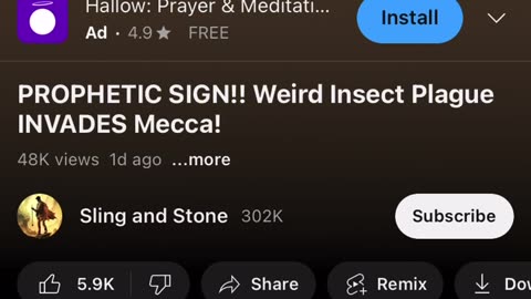 The birds will teach