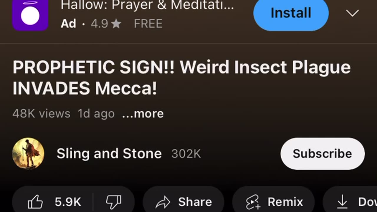 The birds will teach