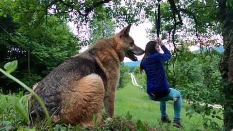 Girl spends her day with animals watch now 2020