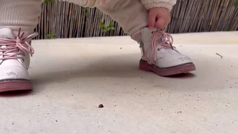 Cute baby videos