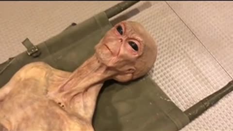 Aliens spotted