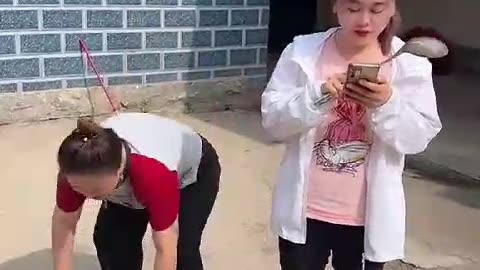 🐈🐈