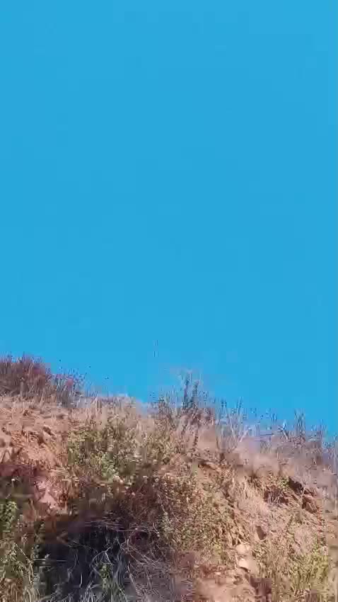 😂😂 A tribute to comrade Jussie Smollett😂😂