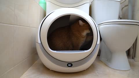 Space technologies, even humans don't have such a litter box for cats!