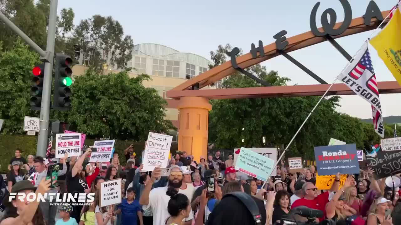 Protests in Disney