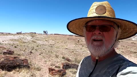 Petrified Forest, Arizona