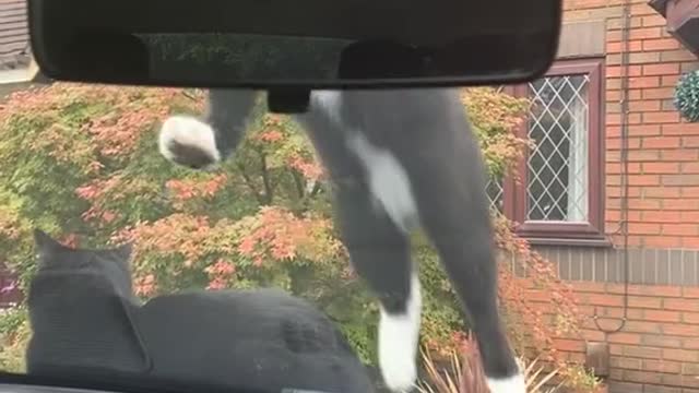 Get ready... jump!