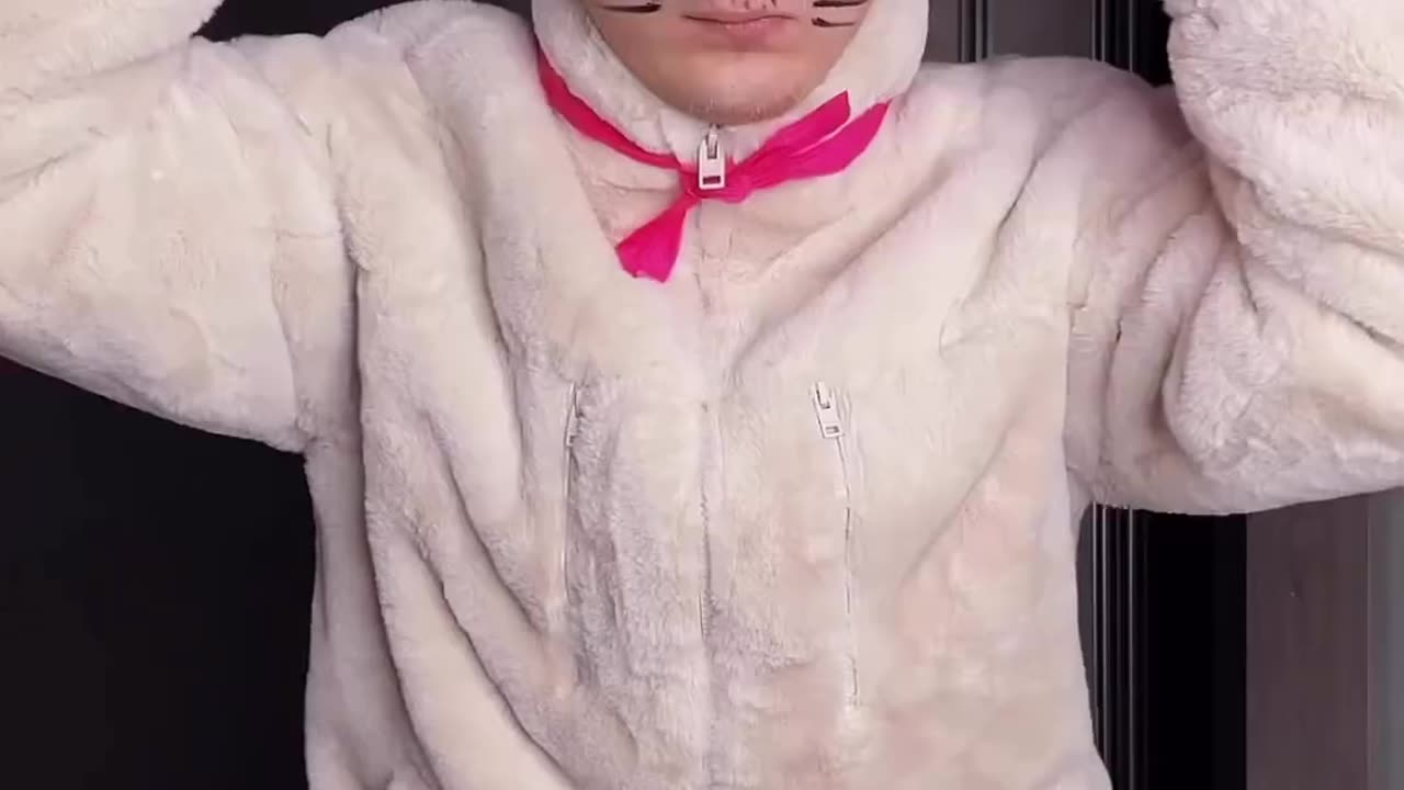 Best cat ever