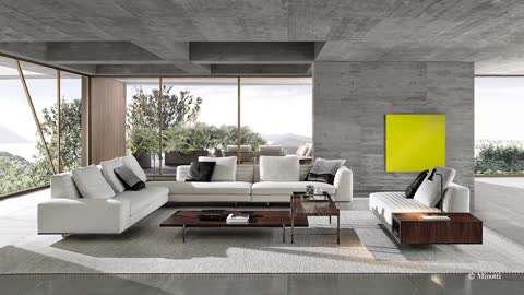 Minotti ADV